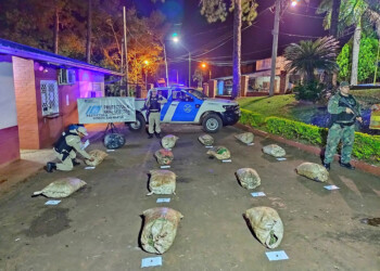 Prefectura incautó marihuana valuada en más de 130 millones de pesos