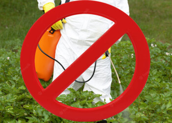 Misiones elimina uso del glifosato en la ruralidad