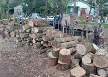 Venta de leña, la salida laboral de algunas familias en el invierno