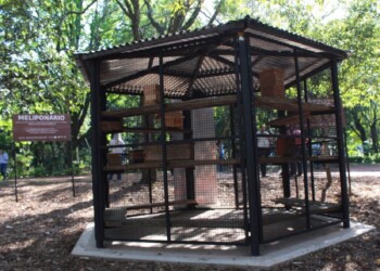 Se viene la Primera Fiesta Provincial de la Meliponicultura en Capioví