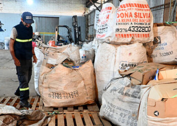 “Cada vez hay menos cartones porque los comercios más grandes los comercializan”