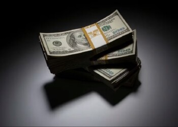 Alertan por las consecuencias de dolarizar sin tener reservas