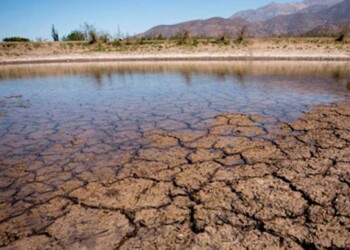 Fuerte impacto de la sequía en las economías regionales