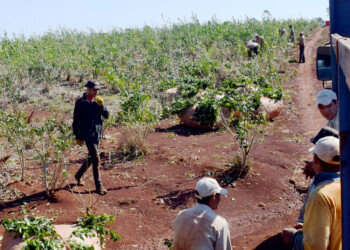 “Es mejor tener tareferitos trabajando en la chacra a que estén en la calle drogándose”
