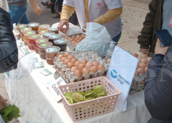 Un alto número de usuarios dejó “en pausa” sus billeteras virtuales