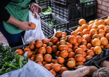 “La Feria Franca significó un gran progreso para los productores”