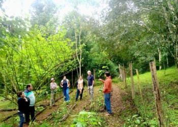 La Reserva Natural Tapecué en El Soberbio recibió certificación de Agricultura Familiar