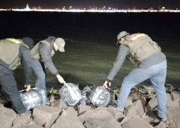 Marihuana prensada en la costanera de Posadas