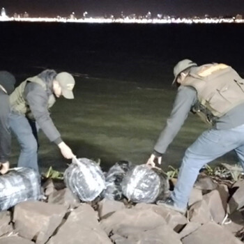 Marihuana prensada en la costanera de Posadas