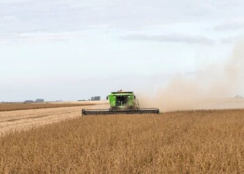 El Estado se lleva el 74,6% de la renta agrícola, según un informe de FADA