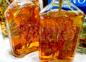 Empieza a moverse la venta de la  caña con ruda para recibir agosto