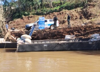 Secuestran más de ocho toneladas de soja de contrabando rumbo a Brasil