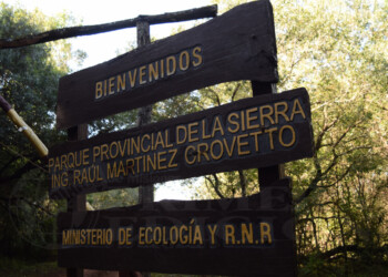 Parque Provincial de la Sierra, tesoro de la selva misionera