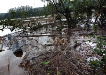 El Soberbio: estiman que el río Uruguay podría llegar a los 14 metros