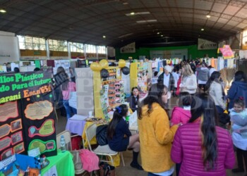 Más de 300 investigaciones de alumnos en provincial de ciencias