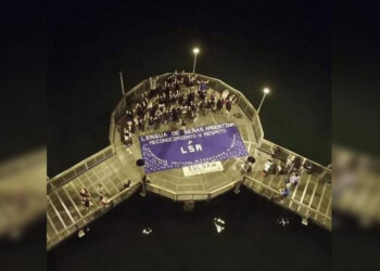 Profesionales formados en LSA buscan accesibilidad para la comunidad sorda