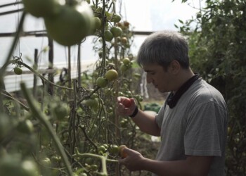 “Lo que no engorda, mata”, serie documental acerca de lo que comemos