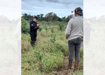Hallan el cuerpo de una mujer en un yerbal