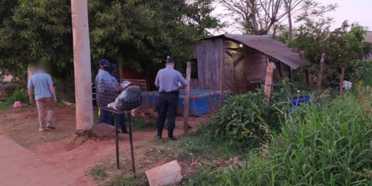 PILETA. El lugar de la vivienda donde se desplomó la víctima, luego de que fuera apuñalado y huyera del agresor.