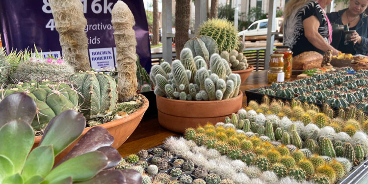 COLABORAR. Autoridades municipales buscan potenciar los corredores turísticos, con la presencia de productos locales para consumo.