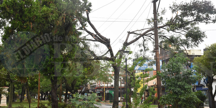 Caída de árboles y cortes de energía eléctrica en numerosas áreas de Posadas