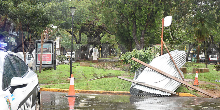 Caída de árboles y cortes de energía eléctrica en numerosas áreas de Posadas