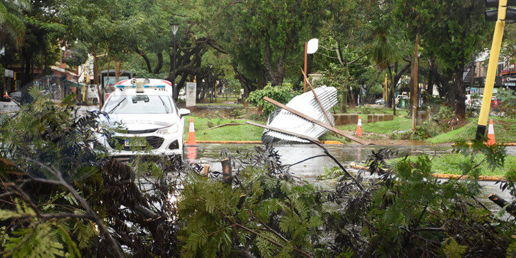 Caída de árboles y cortes de energía eléctrica en numerosas áreas de Posadas
