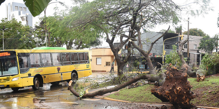 Caída de árboles y cortes de energía eléctrica en numerosas áreas de Posadas