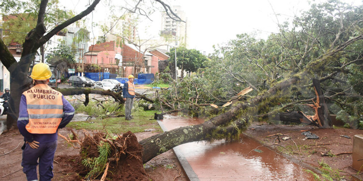 Caída de árboles y cortes de energía eléctrica en numerosas áreas de Posadas