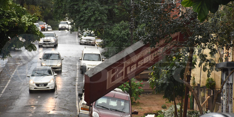 Caída de árboles y cortes de energía eléctrica en numerosas áreas de Posadas