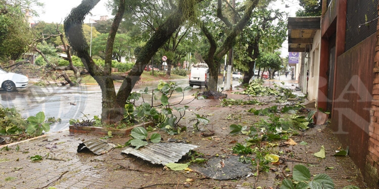 Caída de árboles y cortes de energía eléctrica en numerosas áreas de Posadas