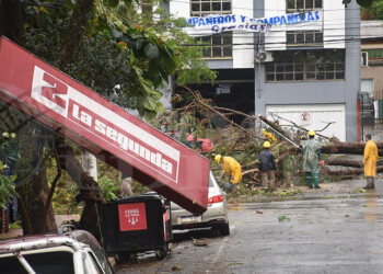 Caída de árboles y cortes de energía eléctrica en numerosas áreas de Posadas
