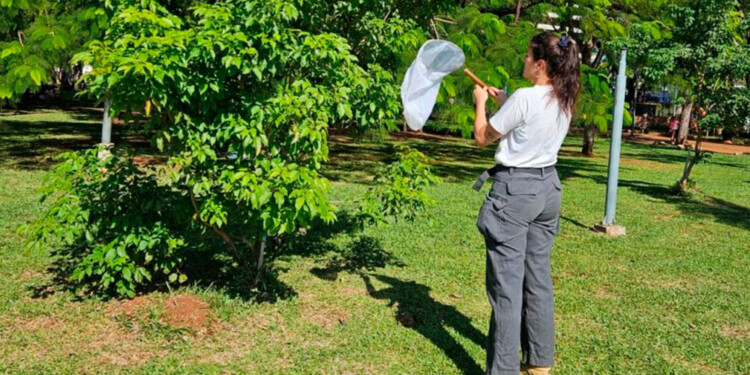 LOS PUNTOS. En Posadas, la toma de muestras se hace en distintos puntos a un kilómetro y medio de distancia.
