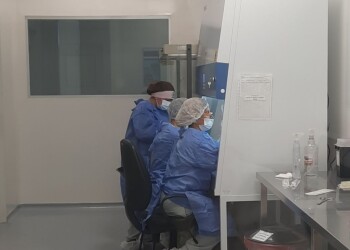 Producirán parches amnióticos a partir de placenta humana donada