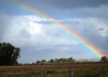 Anticipan una primavera lluviosa en el NEA por efecto del Niño