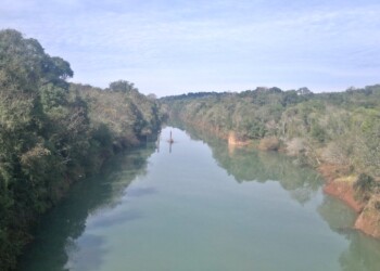 Buscan proteger a pez autóctono de la cuenca del arroyo Urugua-í