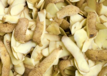 Cáscara de papa para hacer abono para plantas