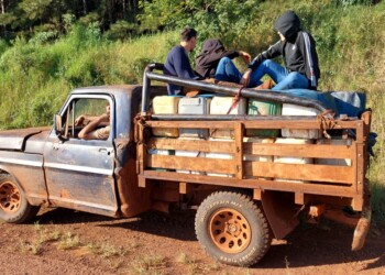 Gendarmería incautó mil litros de gasoil en Colonia Delicia