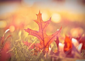 Responsabilidad con nuestros colores