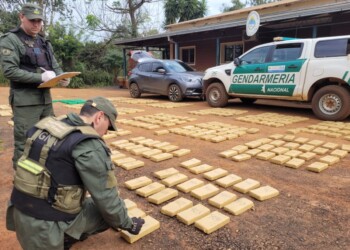 Gendarmería secuestró más de 500 kilogramos de marihuana