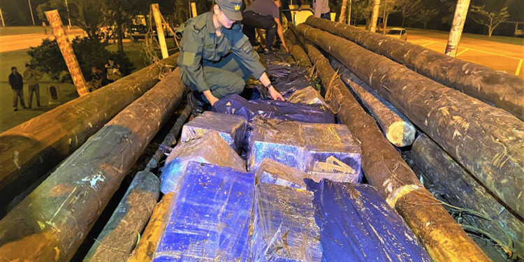 POSTES CON OLOR A CANNABIS SATIVA. La carga estaba prolijamente acondicionada, salvo el detalle del fuerte aroma.