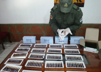 Gendarmería incautó 500 ampollas de fentanilo en “El Arco”