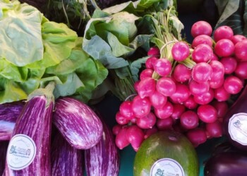 “Decidimos probar el desafío que nos proponían en la feria y acá estamos”