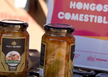 Productores celebrarán la  diversidad de hongos misioneros