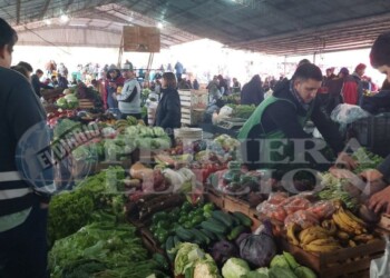 Feria Franca: productores destacan las ventas y hacen frente a las condiciones climáticas