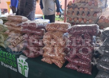 Feria Franca: productores destacan las ventas y hacen frente a las condiciones climáticas