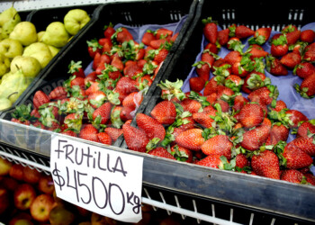 En Posadas, el precio del kilo de frutilla oscila entre $2.500 y $5.000