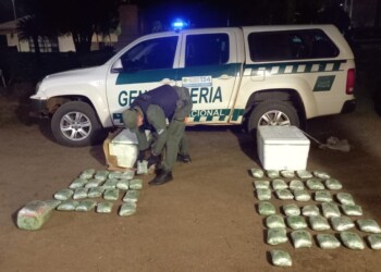 Decomisaron un cargamento de marihuana valuado en más de 11 millones de pesos