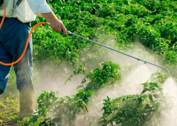 Avanza el armado de presentación judicial contra la Ley de Bioinsumos