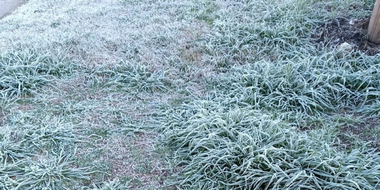 (Imagen ilustrativa)